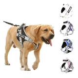 Arnes Pechera Chaleco Perro Service Dog Acolchado Premium