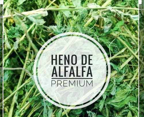 Heno Alfalfa Organica Premium Para Cuyo 2kg