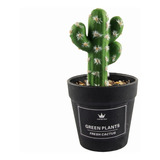 Cactus Hermosos En Macetero Negro Para Decoración Interior