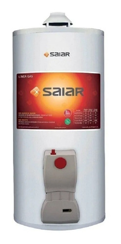 Termotanque Saiar 80 Litros Gas Colgar Inferior Selectogar6