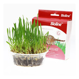 Juguete Gato Cat Grass Hierba Gatera Catnip Pasto Bioline Cs