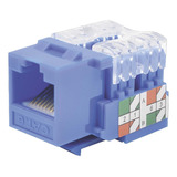 Módulo Jack 110 Cat6, Keystone Para Faceplate - Color Azul 