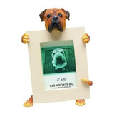 El Marco De Bullmastiff Contiene Su Foto Favorita De 2.5 Por