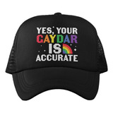 Gorra Gaydar/pride/lgbt/orgullo/colores/unisex