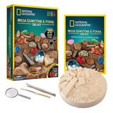 Kits De Excavación De Mega Fósiles Y Piedras Preciosas De Na