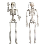 Articulaciones Móviles Completas Body Skeleton Halloween Par