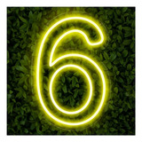 Painel Neon Numero Seis 6 Instagram Iluminação Branco 50cm