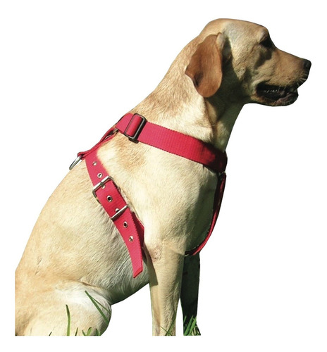 Pretal Pechera Collar Perro Labrador Pointer Weimaraner.