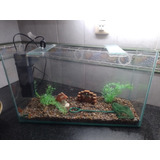 Acuario Completo Kit Pecera 