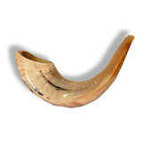 Shofar Kosher Rams Horn Instrumento Natural Shoffar Shophar 