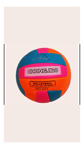 Balón Voleibol Económico