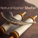 Shofar Tradicional De Israel, Instrumento Musical Natural Ju
