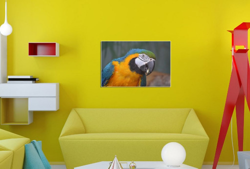 Vinilo Decorativo 60x90cm Loro Bird Pajaro Guacamayo M3