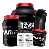 Kit Massa + Whey Proten + Bcaa 4.5powdr + 2x Creatina + Copo