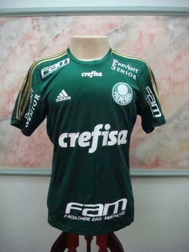 Camisa Futebol Palmeiras Alex Despedida Usada Jogo 2232