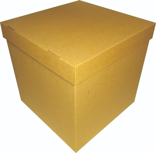 Caja Con Tapa 25x25 #4 X 5 Unidades