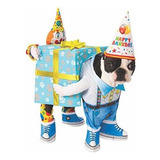 Ropa Gato - Rubie's Birthday Present Pet Costume