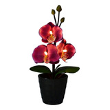 Flor Luminiscencia, Orquídea Púrpura Novedad Luz Led ...