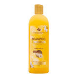 Shampoo Manzanilla Sin Sal