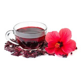 Muda De Hibisco Vermelho Vinagreira Chá Auxilia Emagrecer