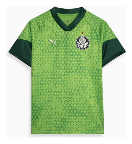 Camisa Palmeiras Puma 2024 Treino Verde Infantil Oficial