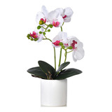 Fulehouzz Flores De Orquídeas Artificiales Con Florero Phala