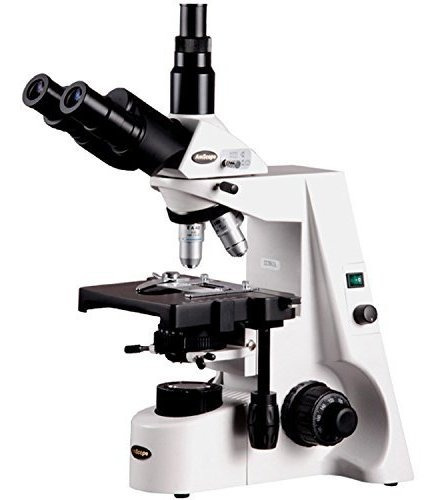 Microscopio Compuesto Trinocular Amscope T690b-pl