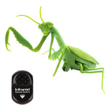 Juguete Insectos Simulados Con Control Remoto Por Infrarr