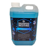 Glänzen Detailing Shampoo Neutro Ph 2 Litros Apto Foam Lance