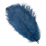 1 Pluma Avestruz Sueltas Naturales 45-50cm Azul Marino