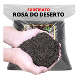 Substrato Rosa Do Deserto Com Fertilizante - 5 Litros