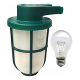 Tortuga Náutica Verde Con Lámpara De Filamento 12v 40 0 60w