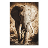 Quadro Elefante África Cor Sépia Decoração Grande 150x100 Cm