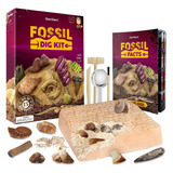 Juego Excavacion Fósiles Y Huesos De Dinosaurios Dan&darci