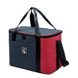 Bolso Lunchera Alpine Skate Cooler Bag Termica 14l Asfl70