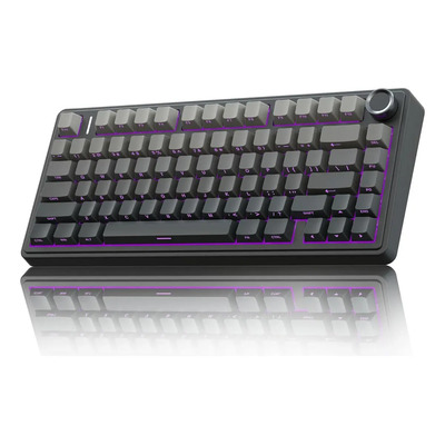 Aula F75 Pro Teclado mecánico inalámbrico, 75% Teclado mecánico RGB de 2,4 GHz\u002FUSB-C\u002FBT5.0, Teclado Gamer Intercambiable con interruptores prelubricados y Teclas PBT | Meses sin interés