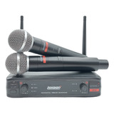 Sistema De Micrófonos Inalámbricos Lexsen 2h2 Handheld Color Negro
