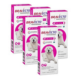 5 Bravecto Transdermal Cães 40 A 56kg Antipulgas Carrapatos