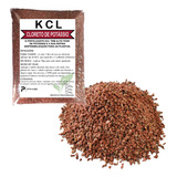 20kg Adubo Fertilizante Cloreto De Potássio - Kcl 