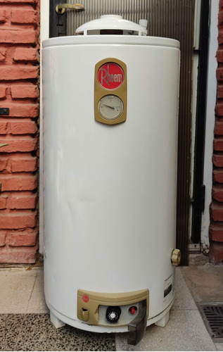 Termotanque Rheem 80 Litros Gas Natural Excelente 