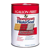Impermeabilizante Superficie 6 Galones Thompsons Waterseal