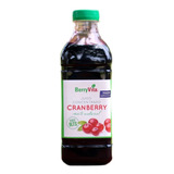 Jugo Concentrado Cranberry + Maqui 100%natural 1lt.agronewen