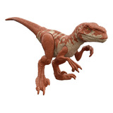 Jurassic World Dinosaurio Atrociraptor 12 Pulgadas Gxw56
