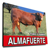 Cuadro Toro Y Pampa 40x30 Cm Almafuerte Ricardo Iorio