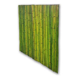 Cercos De Cañas Bambu Pergolas Hacemos
