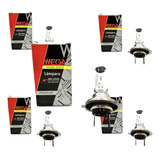 Pack X 5 Lamparas H7 Halogena 12v 55w Importadas