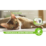 Nupec Felino Indoor Alimento Húmedo Pack 4 Latas De 100 G