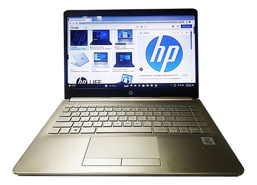 Computador Portatil Hp Core-i5  10ma Generacion  Dd928 Gb