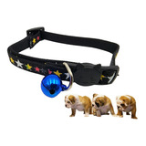 Collar Para Perros Y Gatos 30cm Negro De Poliester