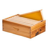 Caja De Colmena De 8 Marcos Caja De Abejas Langstroth M...